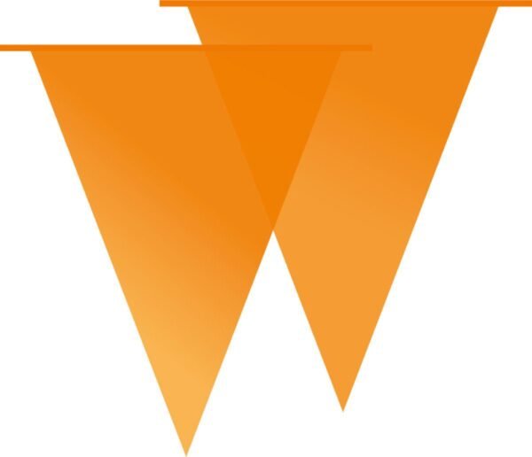 Oranje Vlaggetjeslijn 10 meter - Afbeelding 2