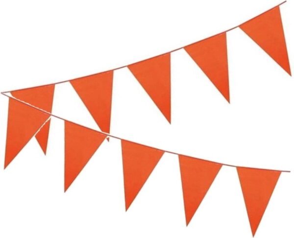 Oranje Vlaggetjeslijn 10 meter